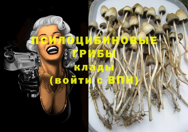 амф Вяземский