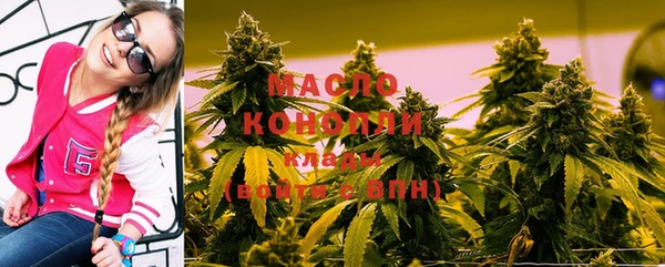амф Вяземский