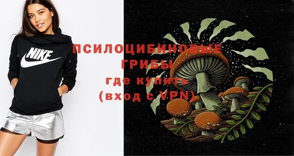 твердый Вязники