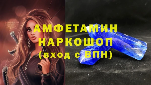 амф Вяземский