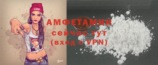 амф Вяземский
