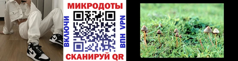 Псилоцибиновые грибы мухоморы  MEGA   Хадыженск 