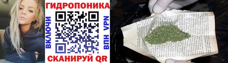 Бошки марихуана тримм  купить наркотики цена  Хадыженск 